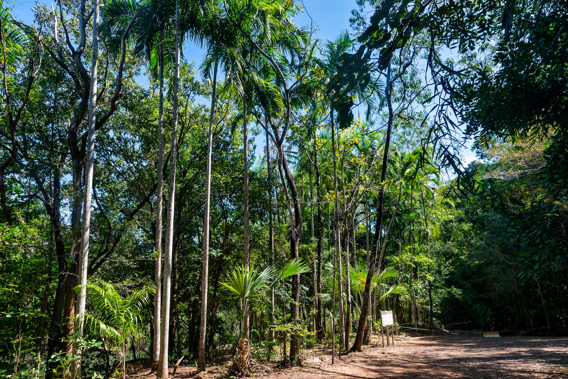 Berry Springs Naturreservat & Wasserloch